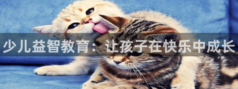 FH至尊是什么意思