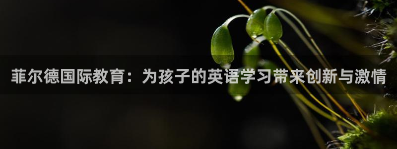 FH至尊不给提现