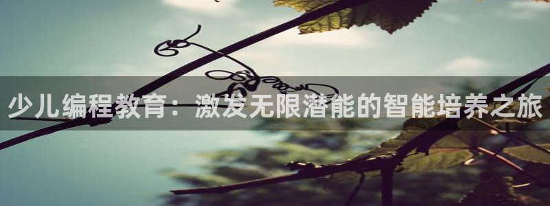fh至尊怎么安装